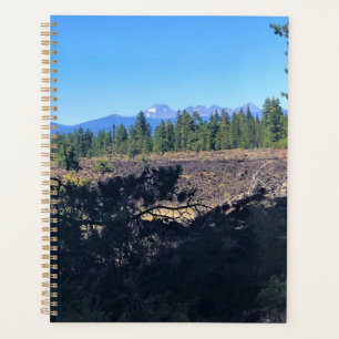 Agenda Bosque de cuenca de lava, O