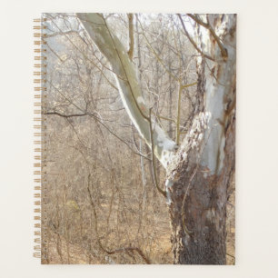 Agenda bosque de invierno
