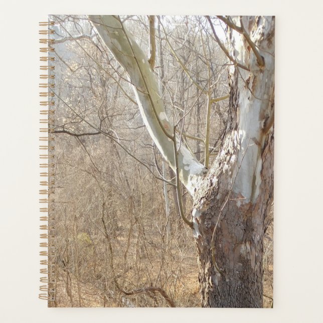 Agenda bosque de invierno (Anverso)