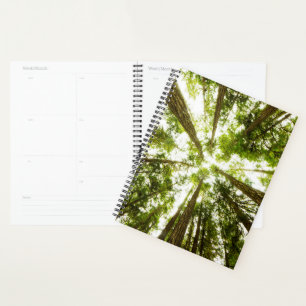 Agenda Bosque de lluvias verdes