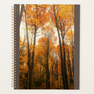 Agenda Bosque de otoño naranja