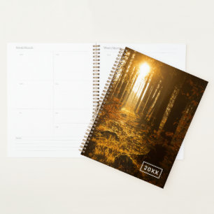 Agenda Bosque durante el otoño   Baden Württemberg, Ale