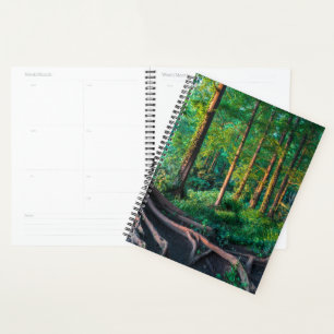 Agenda Bosque en verano