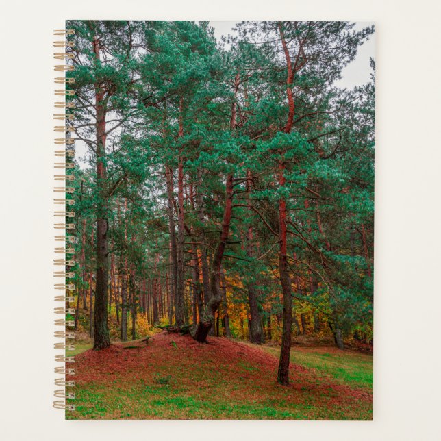 Agenda Bosque otoñal (Anverso)