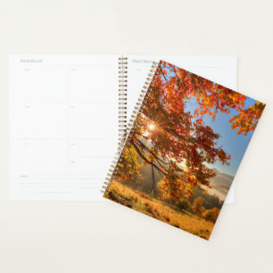 Agenda Bosque otoñal en las montañas