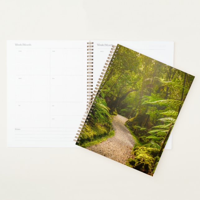 Agenda Bosques | Camino al bosque (Demostración)