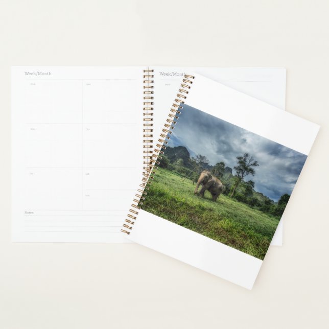 Agenda Bosques | Parque nacional Kao Sok (Demostración)