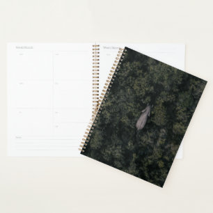 Agenda Bosques Reserva de caza de Lalibela