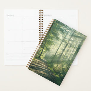 Agenda Bosques   Ruta Forestal Hamburgo Alemania