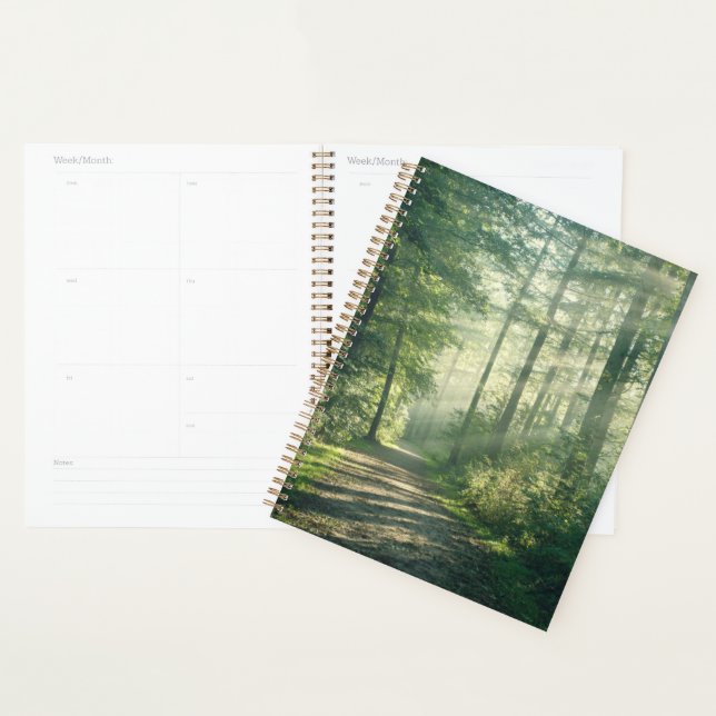 Agenda Bosques | Ruta Forestal Hamburgo Alemania (Demostración)