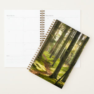 Agenda Bosques Selva boreal Suecia