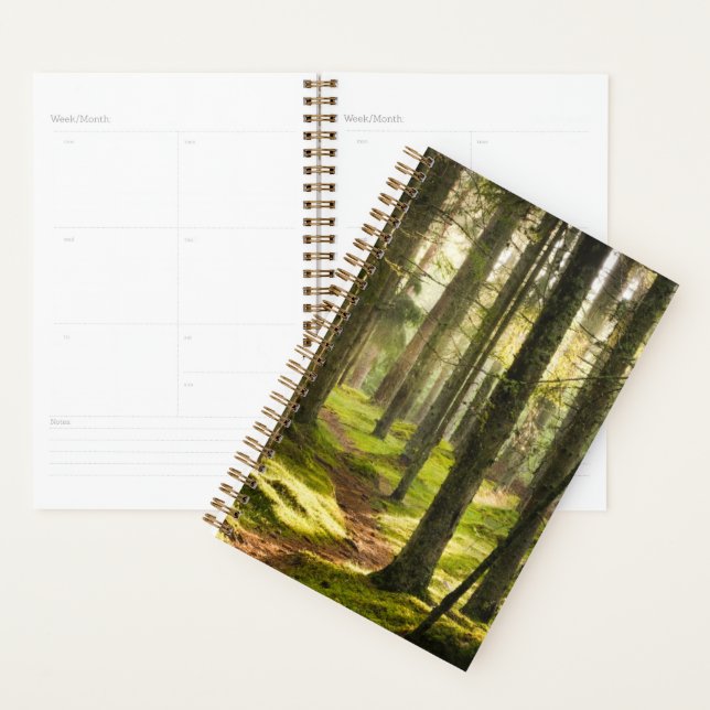 Agenda Bosques | Selva boreal Suecia (Demostración)