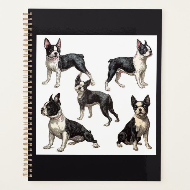 Agenda Boston Terrier  (Anverso)