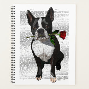 Agenda Boston Terrier con Rosa en boca