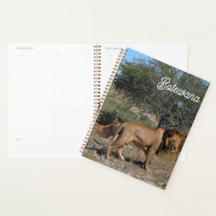Agenda Botsuana Kalahari Central Leones Savannah