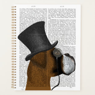 Agenda Boxer, hebilla formal y Gorra