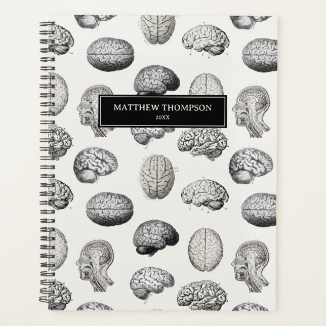 Agenda Brain Anatomy Biology Antique Illustrations (Anverso)