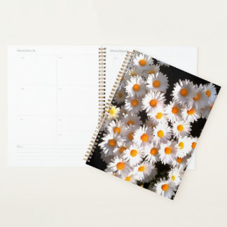 Agenda Brillantes Daisises Blancos Sobre El Arte Floral N