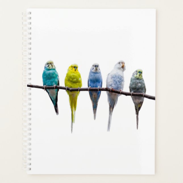 Agenda Budgies (Anverso)