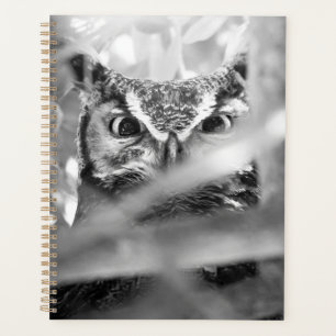 Agenda Búho Americano – Arte de impresión de naturaleza d