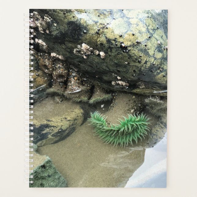 Agenda Bullards Beach State Park, Bandon, Oregon (Anverso)