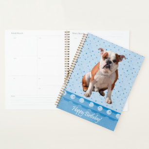 Agenda Bulldog con puntos azules feliz cumpleaños