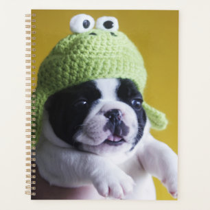 Agenda Bulldog francés
