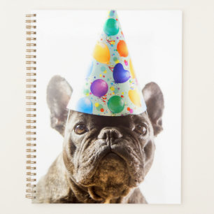 Agenda Bulldog francés con Gorra Fiesta
