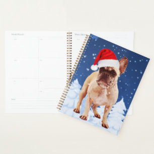 Agenda Bulldog francés en Navidades de nieve con Santa Ha