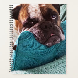 Agenda Bulldog victoriano Foto 8x11 portátil