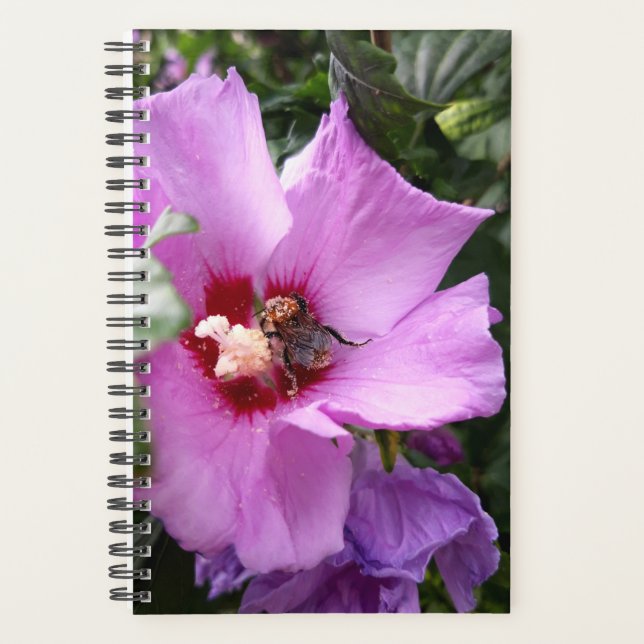 Agenda Bumblebee en la flor de Hibiscus (Anverso)