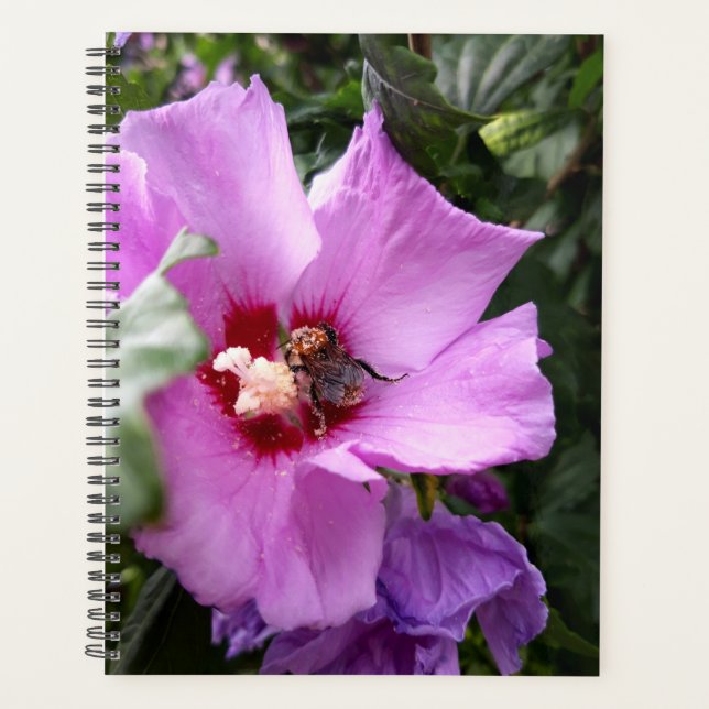 Agenda Bumblebee en la flor de Hibiscus (Anverso)