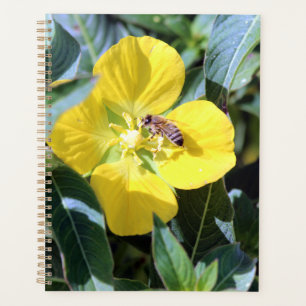 Agenda Busy Bee