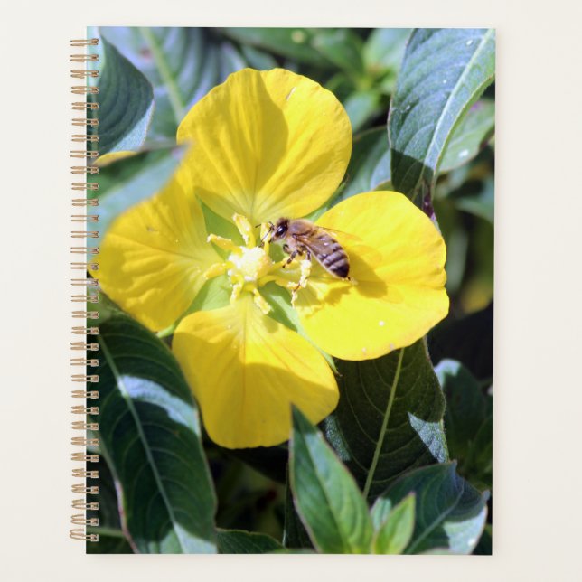 Agenda Busy Bee (Anverso)