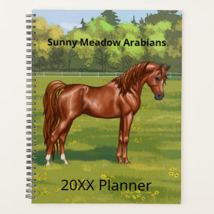 Agenda Caballo árabe-egipcio castaño en pastura de primav