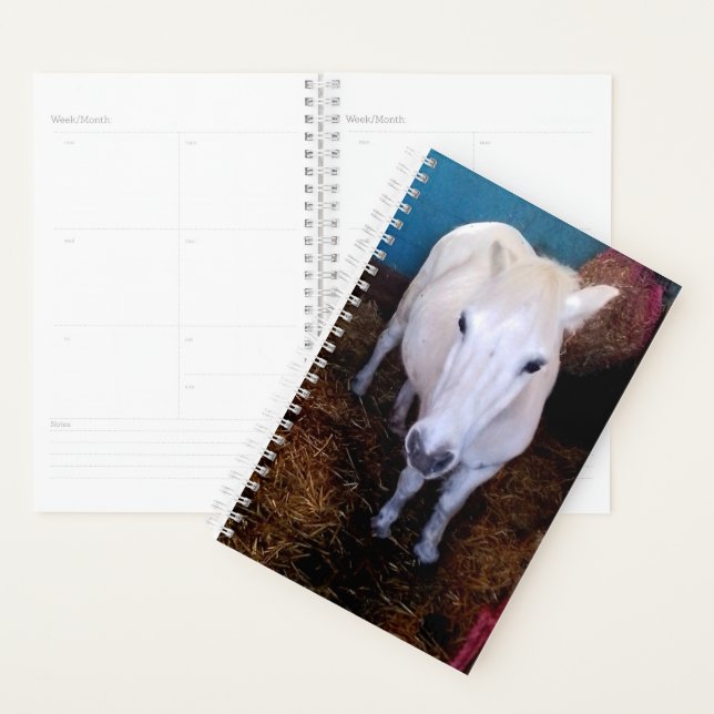 Agenda Caballo blanco (Demostración)