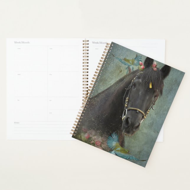 Agenda Caballo frisón de caballo negro - Calendario, plan (Demostración)