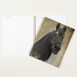 Agenda Caballo frisón de caballo negro - Calendario, plan