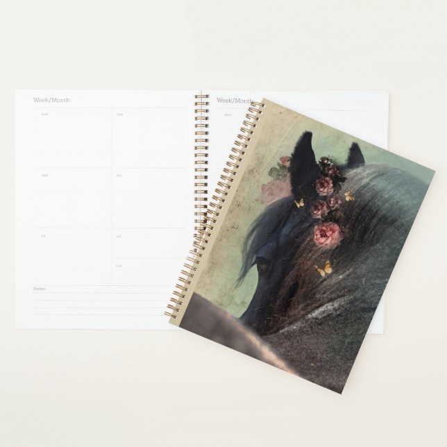 Agenda Caballo frisón de caballo negro - Calendario, plan (Demostración)