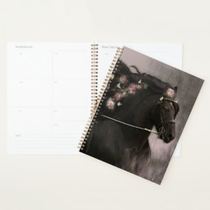 Agenda Caballo frisón de caballo negro - Calendario, plan
