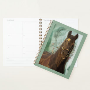 Agenda Caballo frisón de caballo negro - Calendario, plan