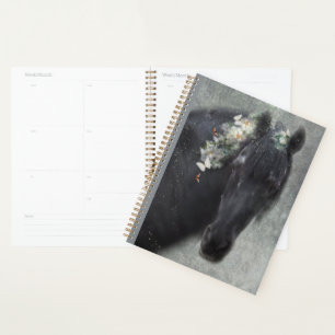 Agenda Caballo frisón de caballo negro - Calendario, plan