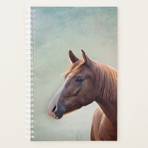 Agenda Caballo retrato dibujado