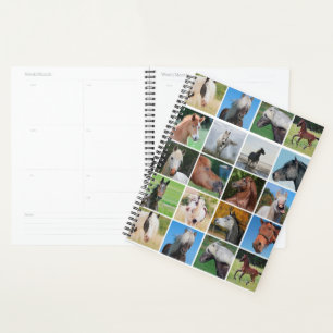 Agenda Caballos