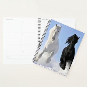 Agenda Caballos
