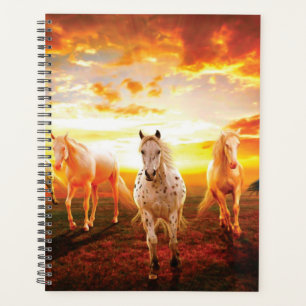 Agenda Caballos al atardecer lanzando almohada