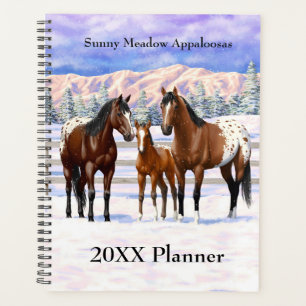 Agenda Caballos Appaloosa De La Bahía Marrón En Nieve