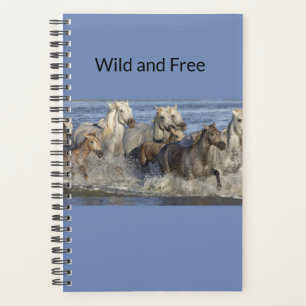 Agenda Caballos galopando en el agua