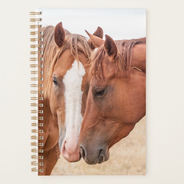 Agenda Caballos hociqueando en un prado (Anverso)