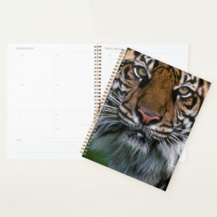 Agenda Cabeza y cara de tigre
